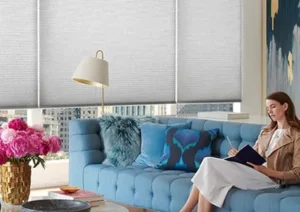 League City Clear Lake Window Cellular Honeycomb Shades